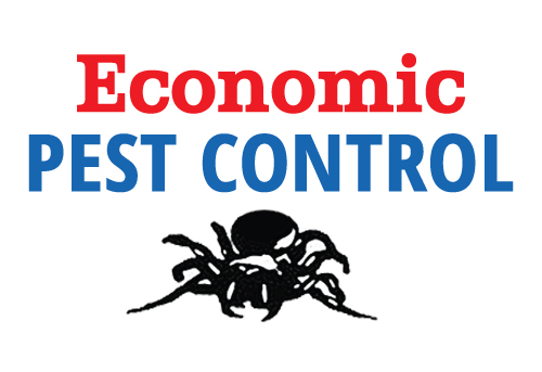 economic-pest-control.jpg